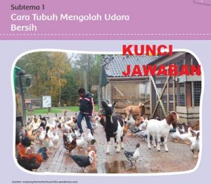 Bagaimana Proses Pengambilan Oksigen Oleh Makhluk Hidup Jawaban Tema 2 Kelas 5 Halaman 1