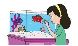 Ikan-Ikan Selalu Membuka dan Menutup Mulutnya Karena : Jawaban Soal