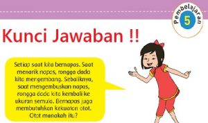 Kunci Jawaban Tema 2 Kelas 5 SD Halaman 42 44 46 Pembelajaran 5 Buku Tematik
