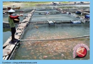 Pengertian Tanggung Jawab Sebagai Warga Masyarakat Kunci Jawaban Kelas 5 Halaman 36