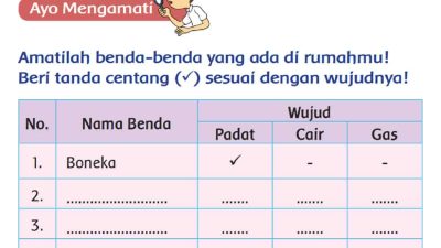 Amatilah benda-benda yang ada di rumahmu! Beri tanda centang (✓) sesuai dengan wujudnya!