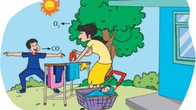 Apa yang Diceritakan Gambar Tersebut Kunci Jawaban Tema 2 Kelas 4 Halaman 2