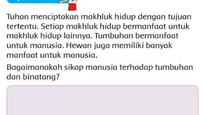 Bagaimanakah Sikap Manusia Terhadap Tumbuhan dan Binatang