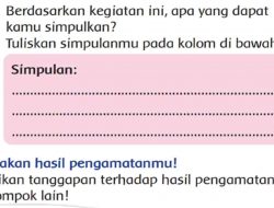 Berdasarkan Kegiatan Ini Apa yang Dapat Kamu Simpulkan? Tuliskan Kesimpulanmu Pada Kolom Di Bawah