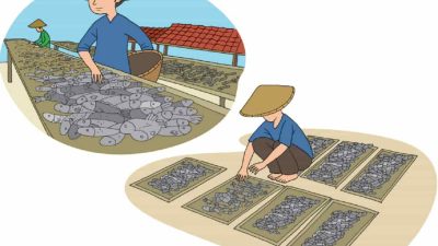 Diskusikan Sumber Energi yang Digunakan Untuk Mengeringkan Ikan! Tema 2 Kelas 4 Halaman 37
