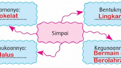 Isilah Kolom Di Bawah Ini Sesuai Pengamatanmu! Amati Simpai yang Kamu Punya