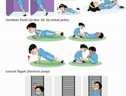 Apa Kesulitan Melakukan Push Up Pull Up Sit Up dan Loncat Tegak (Vertical Jump) Kunci Jawaban Tema 3 Kelas 6 Halaman 25