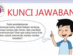 Jawaban Kosakata Non Baku dan Kalimat Tidak Efektif Teks Rambu Lalu Lintas Kunci Tema 3 Kelas 6 Halaman 135