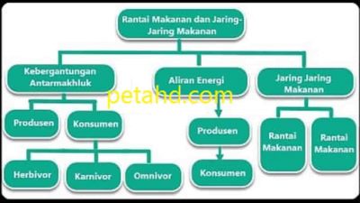 Pikiran Utama Rantai Makanan dan Jaring-Jaring Makanan Pada Setiap Paragraf Kunci Jawaban Tema 5 Kelas 5 Halaman 103