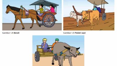 Apa yang Terjadi Saat Kuda Menarik Bendi dan Saat Kerbau atau Kuda Menarik Pedati Kunci Jawaban Tema 7 Kelas 4 Halaman 4