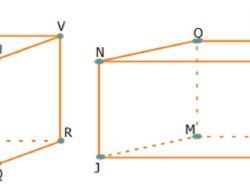 Kunci Jawaban Matematika Kelas 5 Halaman 135 Gambarlah Sebuah Balok yang Memiliki Diagonal Ruang KR PM NQ dan SL