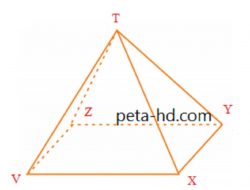 Kunci Jawaban Matematika Kelas 5 Halaman 136 137 Gambarlah Limas Segiempat T,VXYZ Tentukan Nama Rusuk Sisi dan Diagonal Sisinya