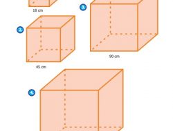 Kunci Jawaban Matematika Kelas 5 Halaman 159 160 Beserta Caranya