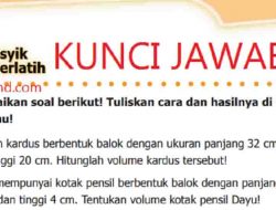 Lina Mempunyai Kotak Mainan Berukuran Panjang 56 cm Lebar 32 cm dan Tinggi 24 cm