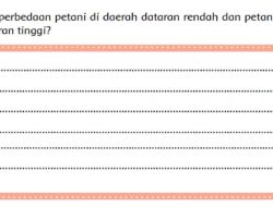 Jawab: Apa Perbedaan Petani Di Daerah Dataran Rendah dan Petani Di Daerah Dataran Tinggi Tema 8 Kelas 4 Halaman 24