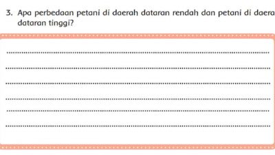 Jawab: Apa Perbedaan Petani Di Daerah Dataran Rendah dan Petani Di Daerah Dataran Tinggi Tema 8 Kelas 4 Halaman 24