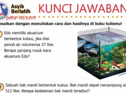 Jawaban Ayah Lani Membuat Kotak Kubus Komposter Dari Papan Untuk Mengolah Sampah Daun Menjadi Kompos