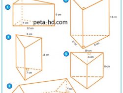 Kunci Jawaban Matematika Kelas 5 Halaman 167 Hitunglah Volume Prisma Segitiga di Bawah Ini 4 CM 12 CM 6 CM