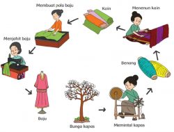Tuliskan Keberagaman Pekerjaan yang Kamu Lihat NO 1 2 3 4 5 6 Tema 7 Kelas 3 Halaman 79
