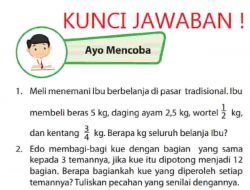 Ibu Memberikan Dua Buah Melon Kepada Siti dan Meli Kemudian Meminta Memotong Melon Menjadi 8 Bagian Sama Besar