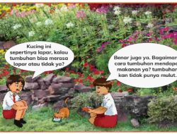 Apa Perbedaan Tumbuhan dan Makhluk Hidup Lainnya IPAS Kelas 4 Halaman 9