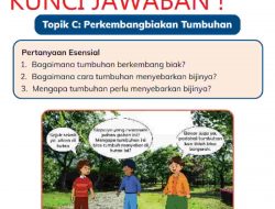 Bagaimana Tumbuhan Berkembang Biak dan Menyebarkan Bijinya IPAS Kelas 4