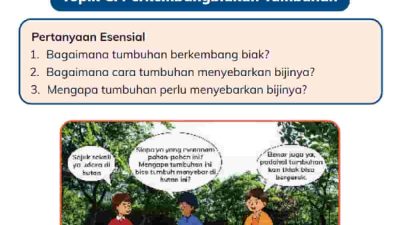 Bagian Bunga Apa yang Berperan dalam Proses Perkembangbiakan Kunci Jawaban IPAS Kelas 4 Halaman 21