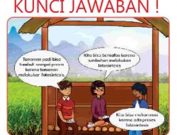 Dari Mana Manusia Mendapatkan Oksigen Untuk Bernapas Soal IPAS Kelas 4 Halaman 13