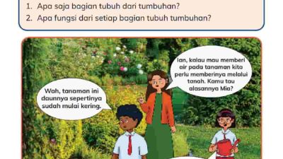 Kunci Jawaban IPAS Kelas 4 Halaman 2 Apa saja bagian tubuh dari tumbuhan dan fungsi dari setiap bagian
