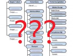 Kunci Jawaban IPAS Kelas 4 Halaman 30 Kurikulum Merdeka Peta Konsep Tumbuhan Bagian Tubuh Fotosintesis Perkembangbiakan