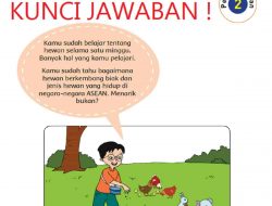 Kunci Jawaban Tema 1 Kelas 6 Halaman 131 Dayu dan Siti Membeli 3 Kotak Kerajinan Dari Cangkang Telur Ayam