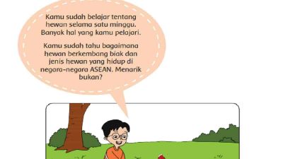 Kunci Jawaban Tema 1 Kelas 6 Halaman 131 Dayu dan Siti membeli 3 kotak kerajinan dari cangkang telur ayam