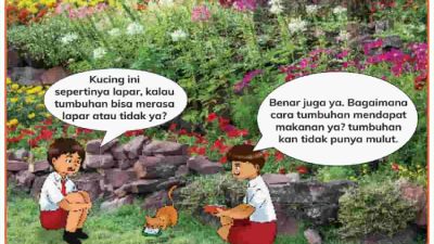 Kunci jawaban Ilmu Pengetahuan Alam dan Sosial (IPAS) kelas 4 halaman 9 Bagaimana tumbuhan mencari makanan