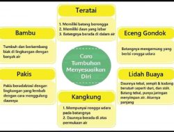 Diagram Frayer Jenis Tumbuhan Untuk Kamu Amati Terkait Habitat dan Cara Melindungi Diri Kunci Jawaban Tema 2 Kelas 6 Halaman 20 Sampai 21