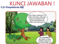 Menurutmu Apa yang Dibutuhkan Oleh Tumbuhan Dari Manusia