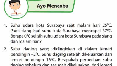 Suhu Daging yang Didinginkan Di Dalam Lemari Pendingin –2°C Berapa Perbedaan Sebelum dan Sesudah