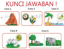 Tanaman Seperti Apa yang Bisa Disebar dengan Cara Seperti Cara 1-5 Kurikulum Merdeka Belajar