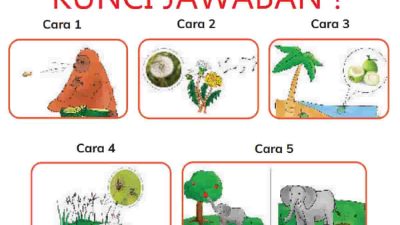 Tanaman seperti apa yang bisa disebar dengan cara seperti cara 1-5 Untuk cara 1-3 hewan apa saja yang menurut kalian bisa berperan sebagai penyebar biji