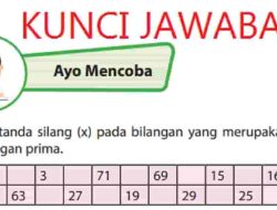 Tentukan Semua Bilangan Prima yang Terletak Diantara Dua Bilangan Berikut 8 dan 25