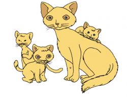 Adakah Hewan yang Memiliki Kesamaan Ciri-Ciri dengan Kucing Tuliskan Halaman 111 Kelas 3