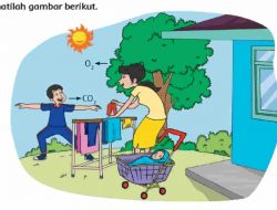 Apa yang Diceritakan Gambar Tersebut Jawaban Tema 2 kelas 4 Halaman 2