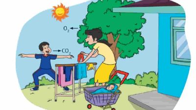 Apa yang Diceritakan Gambar Tersebut Jawaban Tema 2 kelas 4 Halaman 2