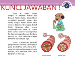 Apa yang Terjadi Pada Organ Pernapasan Penderita Penyakit Asma Apa Penyebab
