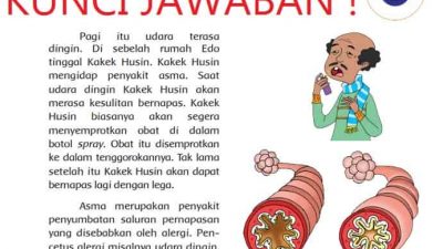 Apa yang terjadi pada organ pernapasan penderita penyakit asma apa penyebab