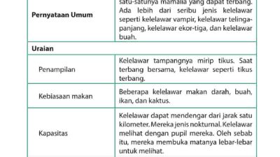 Apakah Ada Hubungannya Kota Pekalongan dengan Kata Kalong