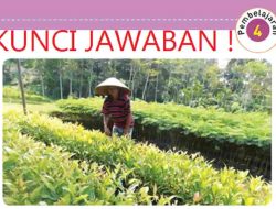 Kamu Telah Mengetahui Cara Menghargai Kegiatan Usaha Ekonomi Orang Lain