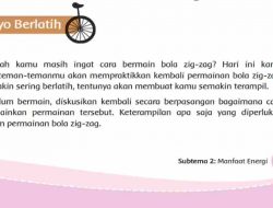 Keterampilan Apa Saja yang Diperlukan Dalam Permainan Bola Zig-Zag Tema 2 Kelas 4 Halaman 93 94