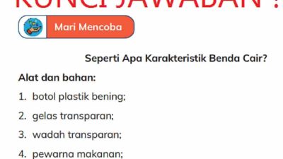Kunci Jawaban Ilmu Pengetahuan Alam dan Sosial (IPAS) Kelas 4 Halaman 43 Mari Refleksikan Kurikulum Merdeka Belajar