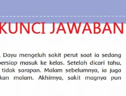 Lengkapilah Informasi Tentang Organ-organ Pencernaan Fungsi Mulut Kerongkongan Lambung Usus Halus Usus Besar