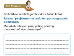 Manakah Tahapan yang Paling Penting Menurutmu Apa Alasannya Daur Hidup Katak